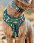 Lucy & Co. - Lucy & Co. x Parks Project Power to the Parks No-Pull Harness