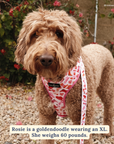 Lucy & Co. - Howdy, Honey Reversible Harness