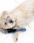 Clean Coats - Dog Brush Smooth & Shine | Gentle Brush for Cats & Dogs
