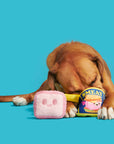 BARK Canned SMEAT Plush Dog Toy