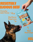 Happy Day Pets - Happy Day Pets Beef Chips Dog Treats | 100% Whole Beef
