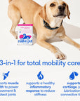 Native Pet - Hip+Joint Advanced Care Powder Joint, Muscle & Inflammation: 60 scoops