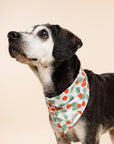 The Paws - Henley Dog Bandana