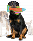 Tuffy Dog Toys - VIP Products - DuraForce Fish - Durable, Squeaky Dog Toy