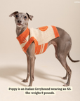 Lucy & Co. - Oh My Gourd Sweater