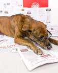 the furryfolks - Newspaper Nosework Toy