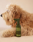 Always Off Leash - Rinseless Shampoo