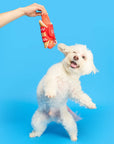 the furryfolks - Hot Doggie Nosework Toy