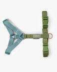Furlou - Blue + Green - Strap Dog Harness