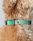 Lucy & Co. - Tomato, Tomahto Embroidered Collar