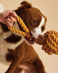 Jax & Bones - 5" Ocean Waves Celtic Knot Tie Rope Toy