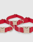 SUNNY TAILS - Cherry Red Waterproof Dog Collar