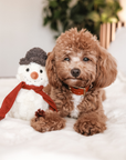 Lambwolf Collective - SNOWMAN//ENRICHMENT DOG TOY // HOLIDAY