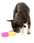 FuzzYard Chill Pill Dog Chew Toy