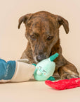 the furryfolks - Fish Express Nosework Toy