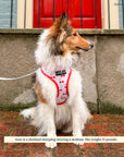 Lucy & Co. - The Cheery Cherries Reversible Harness