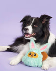 BARK Buddy The Nutty Bunny Easter Plush Dog Toy