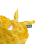 The Paws - Sol Dog Bandana