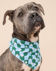 The Paws - Koa Dog Bandana