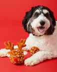 The Foggy Dog - Reindeer 2-in-1 Bounce Dog Toy