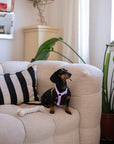 Furlou - 'Lavender and Terracotta' - Strap Dog Harness
