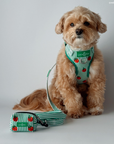 Lucy & Co. - Tomato, Tomahto Embroidered No-Pull Harness