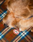 Scout's Honour Pty Ltd - Food Motivated iron-on patch for dogs and cats