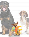 Tuffy Dog Toys - VIP Products - DuraForce Jr Angel Fish - Orange, Durable, Squeaky Dog Toy