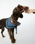 Winnie Lou - Bison Trachea Chews