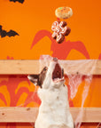 BARK Spookie Cookies Plush Dog Toy