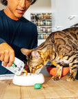 Rigby - Rigby Essential Cat Treats, Chicken & Cod Lickable Pouch
