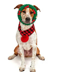 Jax & Bones - Green Ring with Red Bones Dog Rope Toy (Large - 7")