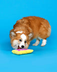 BARK Toaster Poodle Plush Dog Toy