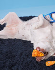 BARK Drool Ranch Chips