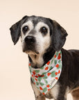 The Paws - Henley Dog Bandana