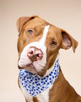 The Paws - Berry Dog Bandana