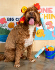 the furryfolks - Fishing Nosework & Tug Toy