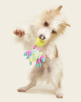 BARK Moe The Mosaic Crab Plush Dog Toy