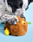 BARK Fowl Play