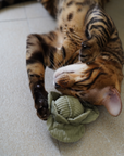 Lambwolf Collective - KITTY VEGGIE SET // CAT TOY // CATNIP