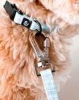 Lucy & Co. - Hippity Hoppity Collar