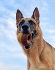 BARK Super Chewer Acornucopia Dog Toy Large