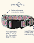 Lucy & Co. - Just Chill Collar