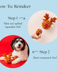 The Foggy Dog - Reindeer 2-in-1 Bounce Dog Toy