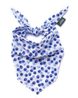 The Paws - Berry Dog Bandana