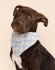 The Paws - Harlowe Dog Bandana