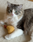 Lambwolf Collective - KITTY TEMPURA: Default Title