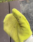 TiCK MiTT - TiCK MiTT: Tick Remover for Pets, Outdoor Lovers - non-toxic: Assorted