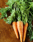 Schoepp Seeds - Carrot, Half Long Heirloom Garden Seed Packets