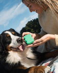 Springland Pets - Silicone Dog Treat Dispenser - 6 Colors (Mixed 12 Pack)
